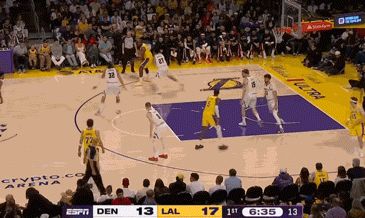 湖人加时逆转掘金 约基奇空砍24+16+14